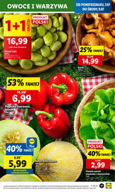 Lidl gazetka Strona 17