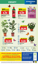 Lidl gazetka Strona 55