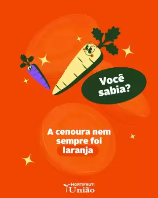 Catálogo Hortifruti União (válido até 6-07)