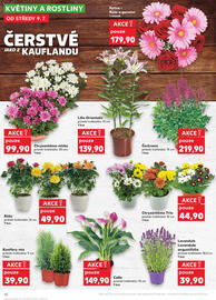 Kaufland leták týden 28 Strana 10