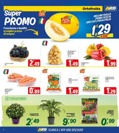 Volantino Ard Discount Pagina 2