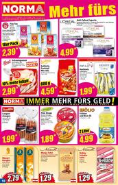 Norma Flugblatt woche 29 Seite 10