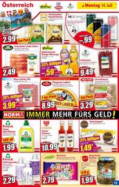 Norma Flugblatt woche 29 Seite 13