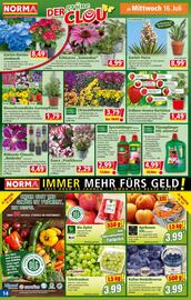 Norma Flugblatt woche 29 Seite 14