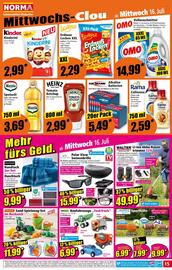 Norma Flugblatt woche 29 Seite 15