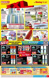 Norma Flugblatt woche 29 Seite 5