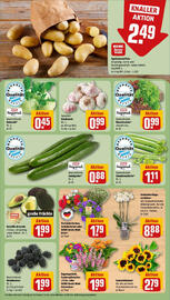 REWE Prospekt woche 28 Seite 7