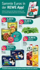 REWE Prospekt woche 28 Seite 2