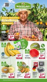Wasgau Prospekt woche 28 Seite 8