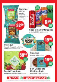 Spar Kundeavis uke 28 Side 11