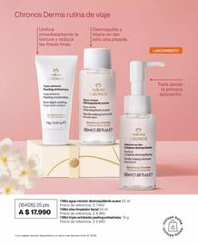 Catálogo Natura Página 19