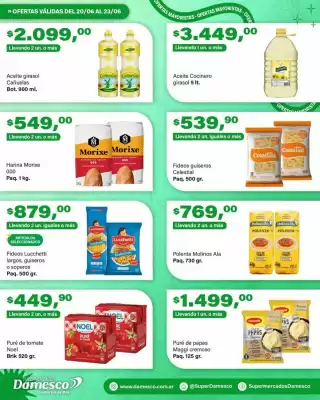 Catálogo Supermercados Damesco (válido hasta 23-06)