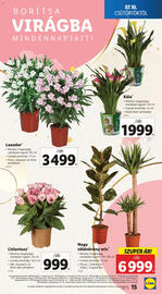 Lidl akciós újság hét 28 Oldal 15