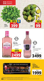 Lidl akciós újság hét 28 Oldal 60