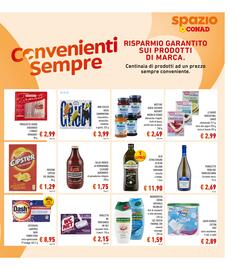 Volantino Spazio Conad Pagina 17