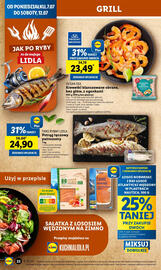 Lidl gazetka Strona 22