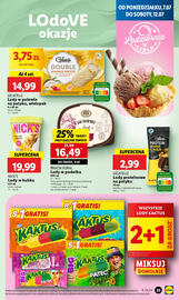 Lidl gazetka Strona 29