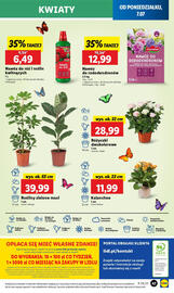 Lidl gazetka Strona 55