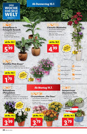 Lidl Flugblatt woche 28 Seite 26