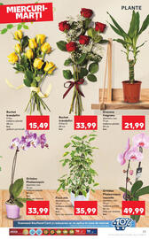 Catalog Kaufland săptămâna 28 Pagină 23