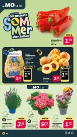 NETTO Prospekt woche 29 Seite 2