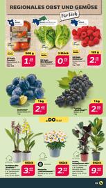 NETTO Prospekt woche 29 Seite 3