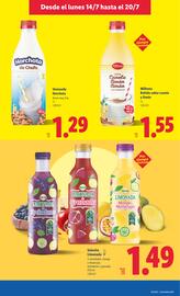 Folleto Lidl semana 29 Página 9