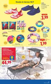 Folleto Lidl | de Bazar Página 21