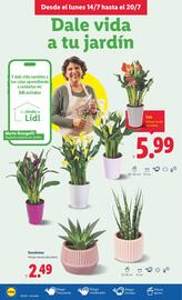 Folleto Lidl | de Bazar Página 24