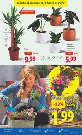 Folleto Lidl | de Bazar Página 25