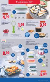 Folleto Lidl | de Bazar Página 5