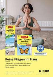 Rossmann DE folder Pagina 31