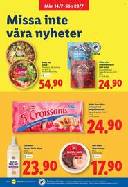 Lidl reklamblad vecka 29 Sida 13