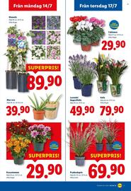 Lidl reklamblad vecka 29 Sida 18