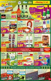 Norma Prospekt woche 29 Seite 13