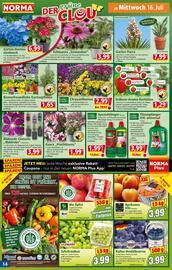 Norma Prospekt woche 29 Seite 14