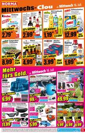 Norma Prospekt woche 29 Seite 15