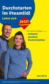 Lidl Prospekt woche 29 Seite 61