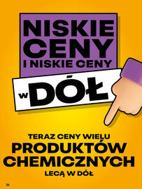 Delikatesy Centrum gazetka tydzień 28 Strona 36