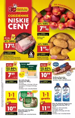 Biedronka gazetka