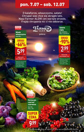 ALDI gazetka tydzień 28 Strona 2