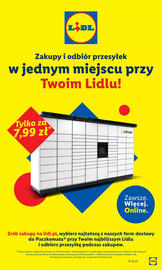 Lidl gazetka tydzień 29 Strona 25