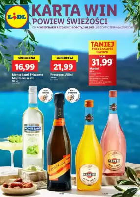 Lidl gazetka (ważność do 2-08)