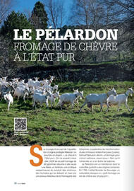 Catalogue Grand Frais page 36