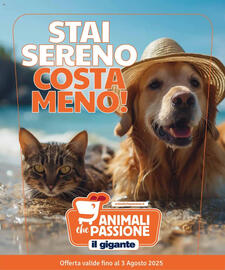Volantino Il Gigante Pagina 1