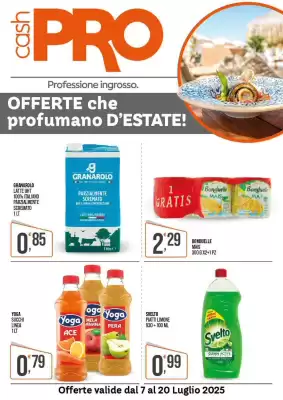 Volantino Cash pro