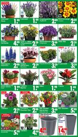 Wreesmann Prospekt woche 28 Seite 11