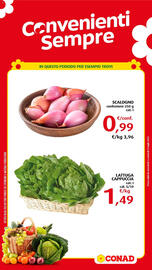 Volantino Conad Pagina 3