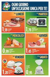 Volantino Ciro Amodio Pagina 14