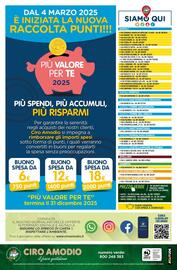 Volantino Ciro Amodio Pagina 16
